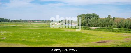 Prairies verdoyantes et arbres dans les zones humides de la vieille rivière Durme, Hamme, Flandre, Belgique Banque D'Images