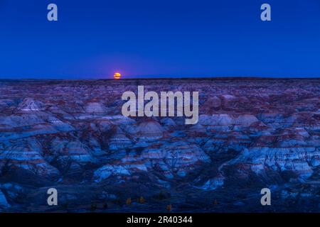 La Lune pleine de Harvest qui s'élève au-dessus du paysage des badlands du parc provincial Dinosaur, Alberta, Canada. Banque D'Images