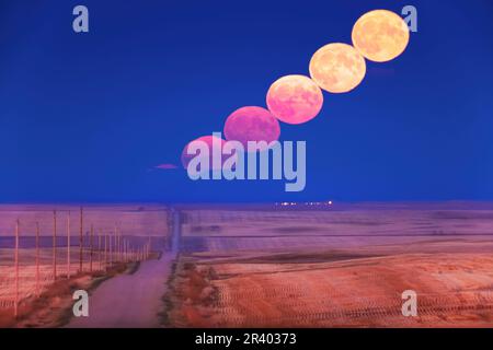 La lune de récolte s'élève à l'extrémité d'une route de campagne dans le sud de l'Alberta, au Canada. Banque D'Images