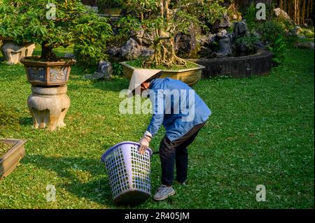 Une jardinière féminine au travail dans la ville impériale, la Citadelle de Hue, l'ancienne capitale du Vietnam. Banque D'Images