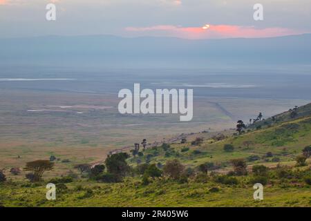 Lever et lever le soleil tôt le matin au-dessus du cratère de Ngorongoro, Tanzanie Banque D'Images