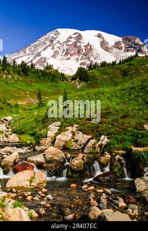 Edith Creek devant le mont Rainier Banque D'Images