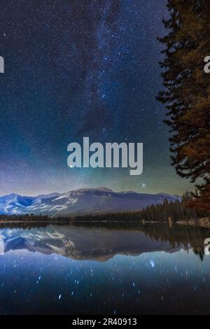 Étoiles d'automne qui s'élèvent au-dessus du lac Edith dans le parc national Jasper, Canada. Banque D'Images