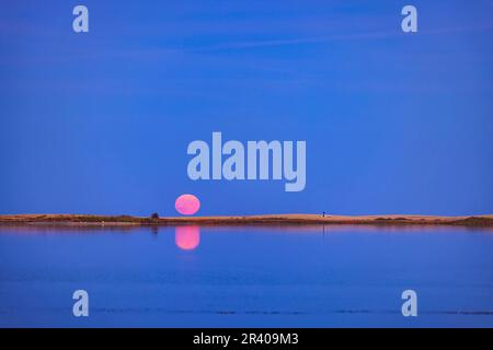 La montée de la pleine lune se reflète au-dessus du réservoir de Crawling Lake, dans le sud de l'Alberta, au Canada. Banque D'Images