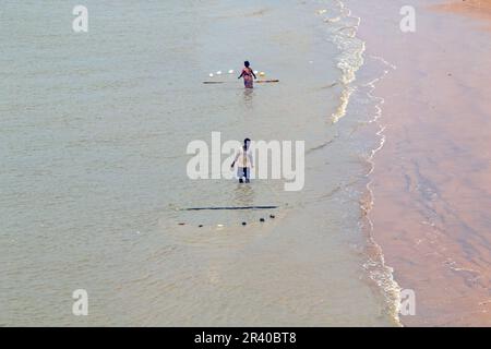 Les pêcheurs et les femmes travaillent pour attraper des crevettes dans la rivière le matin chaud et ensoleillé. Banque D'Images