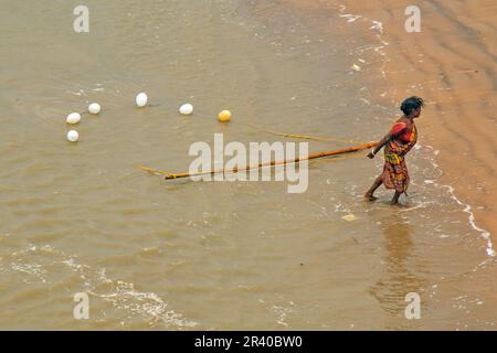 Les pêcheurs et les femmes travaillent pour attraper des crevettes dans la rivière le matin chaud et ensoleillé. Banque D'Images