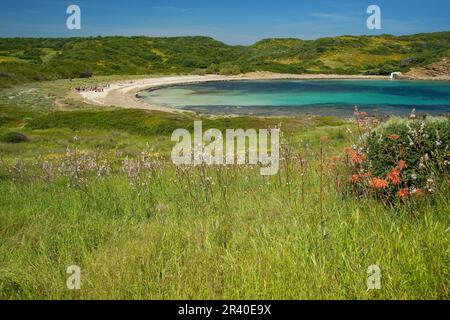 Cala de sa Torre.Parc naturel de s' Albufera des Grau.Menorca.Reserva de la Bioesfera.Illes Balears.España Banque D'Images