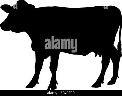 Silhouette de vache isolée sur fond blanc. illustration vectorielle Illustration de Vecteur