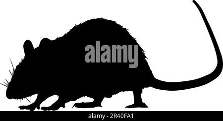 Silhouette de rat isolée sur fond blanc. Illustration vectorielle Illustration de Vecteur