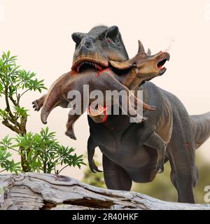 Tyrannosaurus rex dinosaure chassant un jeune Triceratops. Banque D'Images