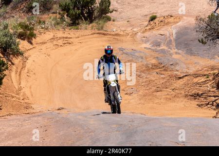 Moto hors route grimpant sur un dôme en grès de la piste fins & Things, près de Moab, Utah. Banque D'Images