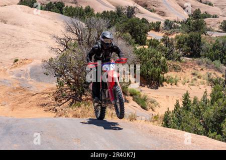 La moto hors route fait une roue tout en montant un dôme de grès de la piste fins & Things, près de Moab, Utah. Banque D'Images