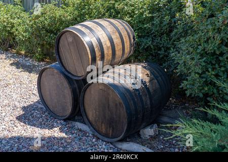 Fûts de vin décoratifs à la cave de vinification Ferrer et vignobles de Gualtallary, Tupungato dans la Valle de UCO, Mendoza, Argentine. Banque D'Images