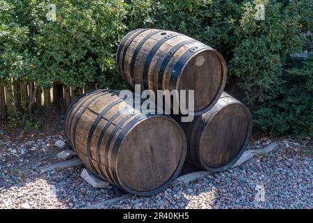 Fûts de vin décoratifs à la cave de vinification Ferrer et vignobles de Gualtallary, Tupungato dans la Valle de UCO, Mendoza, Argentine. Banque D'Images