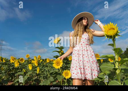 Un magnifique modèle blond pose à l'extérieur dans un champ de tournesols Banque D'Images