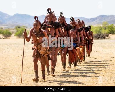 Groupe de femmes de la tribu Himba marche dans le désert en vêtements nationaux. Banque D'Images