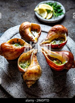 Escargots géants chiliens avec le beurre, l'ail et fines herbes sur la plaque en pierre grise de l'océan pacifique de l'escargot. Banque D'Images