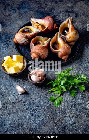 ESCARGOT géant des matières premières de l'océan Pacifique. Escargots du Chili, le beurre, l'ail et le persil. Banque D'Images