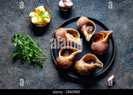 ESCARGOT géant des matières premières de l'océan Pacifique. Escargots du Chili, le beurre, l'ail et le persil. Banque D'Images