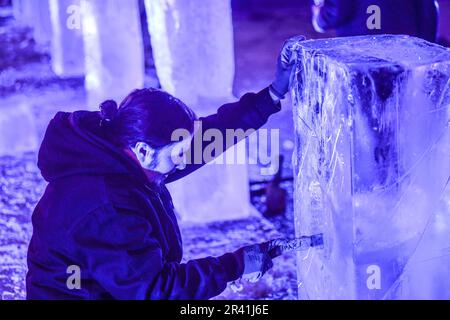 Concours de sculpture sur glace à Varazdin pendant les vacances d'hiver, en Croatie Banque D'Images