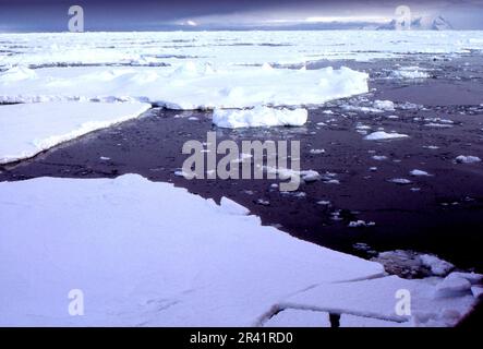 L'Antarctique de Grahamland 1972 emboîte des champs de glace pendant le relevé hydrographique annuel de l'Antarctique par le HMS Endurance Banque D'Images