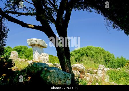 Taula de sa Torreta (Torre Blanca).Parc naturel de s' Albufera des Grau.Menorca.Reserva de la Bioesfera.Illes Balears.España Banque D'Images