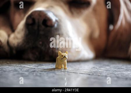 Petite figurine française Bulldog Lego avec Sleeping Dog en arrière-plan Banque D'Images