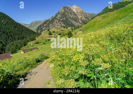 Granjas de biadós, Valle de Añes Cruces, le parc naturel de Posets-Maladeta, Huesca, cordillera de los Pirineos, Espagne. Banque D'Images