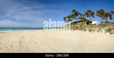 Es Carbo Beach, homme solitaire courant sur la plage de sable vierge , ses Salines, Majorque, Iles Baléares, Espagne. Banque D'Images