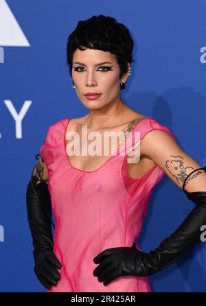 Antibes, France. 26th mai 2023. Cannes, France. 25 mai 2023. Halsey arrivant au Gala annuel de l'amfAR de Cannes 29th dans le cadre du Festival du film de Cannes 76th, Hôtel du Cap, Eden Roc. Crédit : Doug Peters/Alamy Live News Banque D'Images