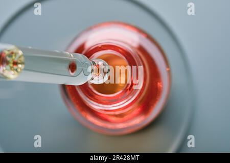 Bouteille d'huile ou de sérum et pipette dans une boîte de Petri sur fond gris. Produit cosmétique rose, concentration sélective Banque D'Images