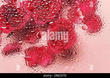 Fleurs sous verre avec gouttes d'eau. Roses rouges sur fond rose et motif de breloques Banque D'Images