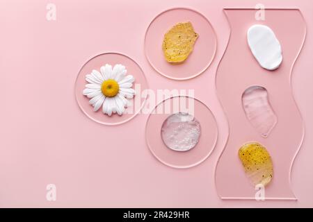 Produits cosmétiques contenant des particules dans la boîte de Petri sur fond rose. Des échantillons naturels de soin de la peau avec camomille Banque D'Images