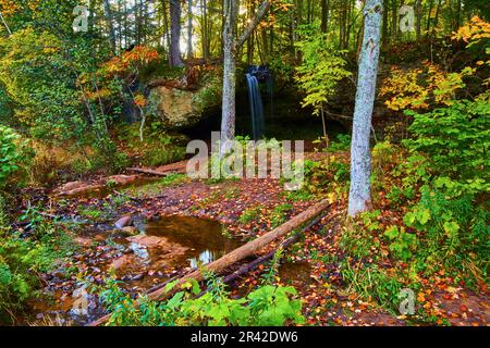 Arbre tombé dans une forêt de conte de fées avec chute d'eau en arrière-plan coulant sur la falaise dans un ruisseau peu profond Banque D'Images