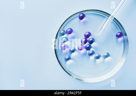 Compte-gouttes de laboratoire avec échantillon de bulles de gel dans une boîte de Petri sur fond bleu, ombres dures. Concept abstrait de la science, de la médecine et de la beauté. Banque D'Images