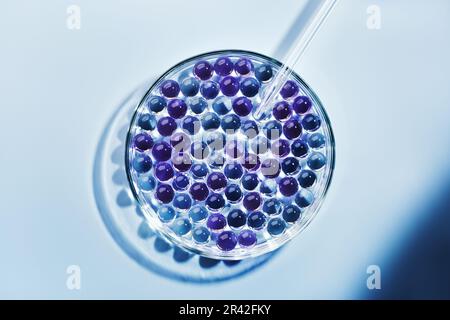 Compte-gouttes de laboratoire avec échantillon de bulles de gel dans une boîte de Petri sur fond bleu, ombres dures. Concept abstrait de la science, de la médecine et de la beauté. Banque D'Images