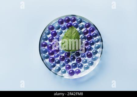 Échantillon de bulles de gel et de feuilles vertes dans une boîte de Petri sur fond bleu, ombres dures. Résumé science, médecine et beauté conce Banque D'Images