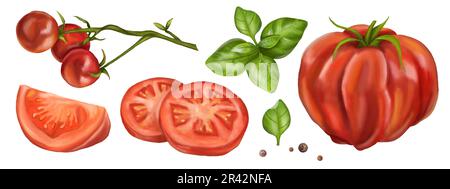Un ensemble de tomates rouges mûres. Fruits de légumes, tranches, feuilles de basilic, poivrons. Illustration numérique sur fond blanc. Récolte de la bruyère par l'agriculteur Banque D'Images