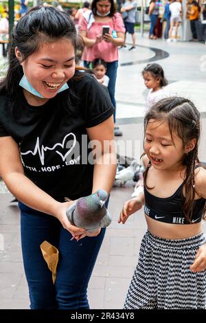 Nourrissant des pigeons à Piazza, Venice Grand Canal Mall, Taguig City, Manille, Philippines Banque D'Images