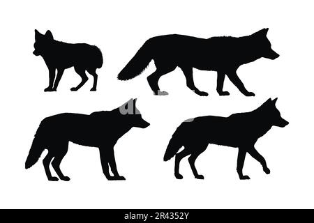 Ensemble silhouette de marche Coyote. Motif vectoriel de coyotes sauvages sur fond blanc. Coyote debout dans différentes positions silhouette collectio Illustration de Vecteur
