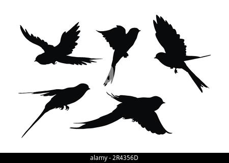 Offre une silhouette de rêve. Wild Swalite le dessin vectoriel sur un fond blanc. Magnifique ensemble de silhouette d'oiseau volant vecteur. petit oiseau i Illustration de Vecteur