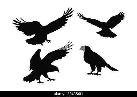 Motif vectoriel Wild Hawk sur fond blanc. Ensemble de silhouette de faucons volants. Vecteur de jeu de silhouette Joker volant. Grande mouche d'oiseau de prédateur Illustration de Vecteur