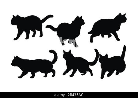 Chats marchant dans différentes positions, vecteur de jeu de silhouette. Collection de silhouettes pour chats adultes sur fond blanc. De beaux animaux domestiques comme fel Illustration de Vecteur