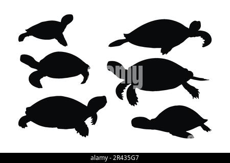 Tortue rampant dans différentes positions, vecteur de jeu de silhouette. Collection de silhouette de tortue pour adulte sur fond blanc. De belles créatures marines comme Illustration de Vecteur