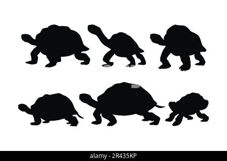 Marche en tortue dans différentes positions, vecteur de jeu de silhouette. Collection silhouette de tortue sur fond blanc. Créatures marines sauvages comme la mort Illustration de Vecteur