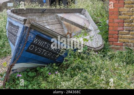 Gros plan sur le canoë bleu foncé battu par les intempéries avec Whitstable Oyster Co. Écrit sur le côté. Whitstable Beach, côte nord du Kent, Angleterre, Royaume-Uni. Banque D'Images