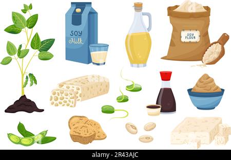 Ensemble plat de divers produits de soja avec sauce aux haricots lait farine pousses tofu miso pâte huile tempeh viande illustration vectorielle isolée Illustration de Vecteur