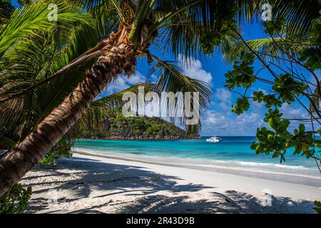 Anse petite, Mahé, Seychelles Banque D'Images