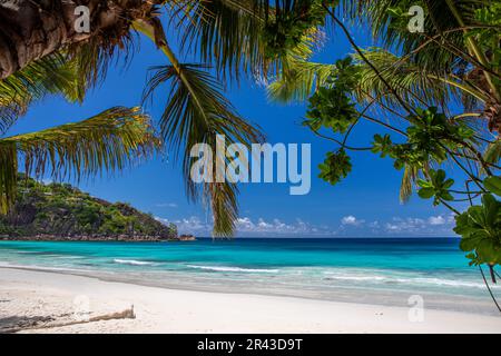 Anse petite, Mahé, Seychelles Banque D'Images