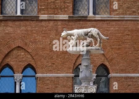 Elle-loup allaitent les nourrissons Romulus et Remus près de la cathédrale de Sienne Banque D'Images